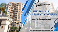 Shapoorji Pallonji The Dualis